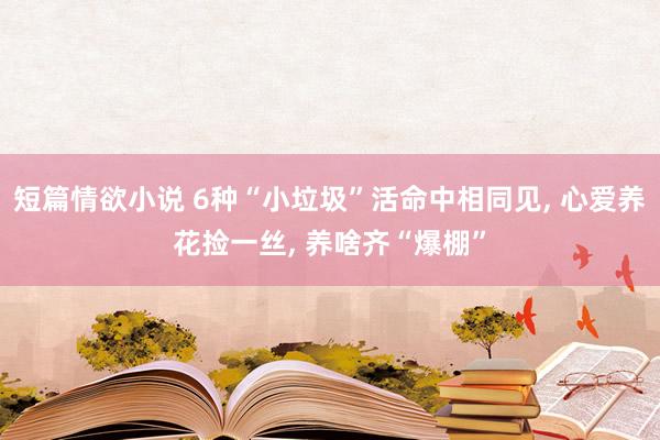 短篇情欲小说 6种“小垃圾”活命中相同见, 心爱养花捡一丝, 养啥齐“爆棚”