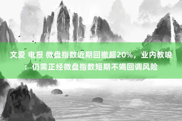 文爱 电报 微盘指数近期回撤超20%，业内教唆：仍需正经微盘指数短期不竭回调风险