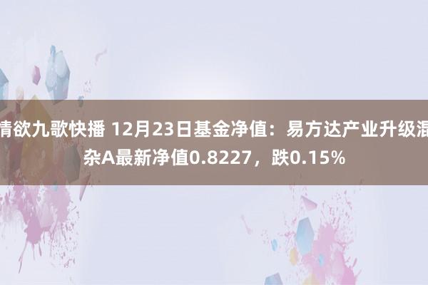 情欲九歌快播 12月23日基金净值：易方达产业升级混杂A最新净值0.8227，跌0.15%