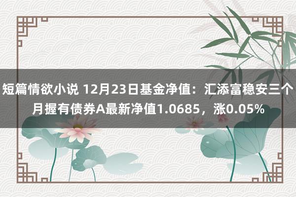 短篇情欲小说 12月23日基金净值：汇添富稳安三个月握有债券A最新净值1.0685，涨0.05%