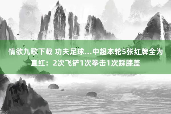情欲九歌下载 功夫足球...中超本轮5张红牌全为直红：2次飞铲1次拳击1次踩膝盖