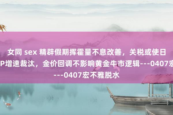 女同 sex 精辟假期挥霍量不息改善，关税或使日本骨子GDP增速裁汰，金价回调不影响黄金牛市逻辑---0407宏不雅脱水