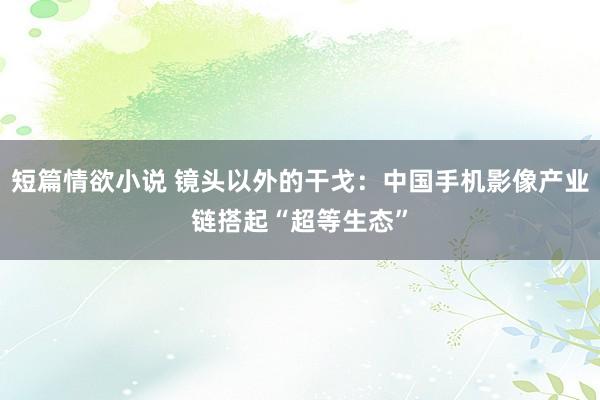 短篇情欲小说 镜头以外的干戈：中国手机影像产业链搭起“超等生态”